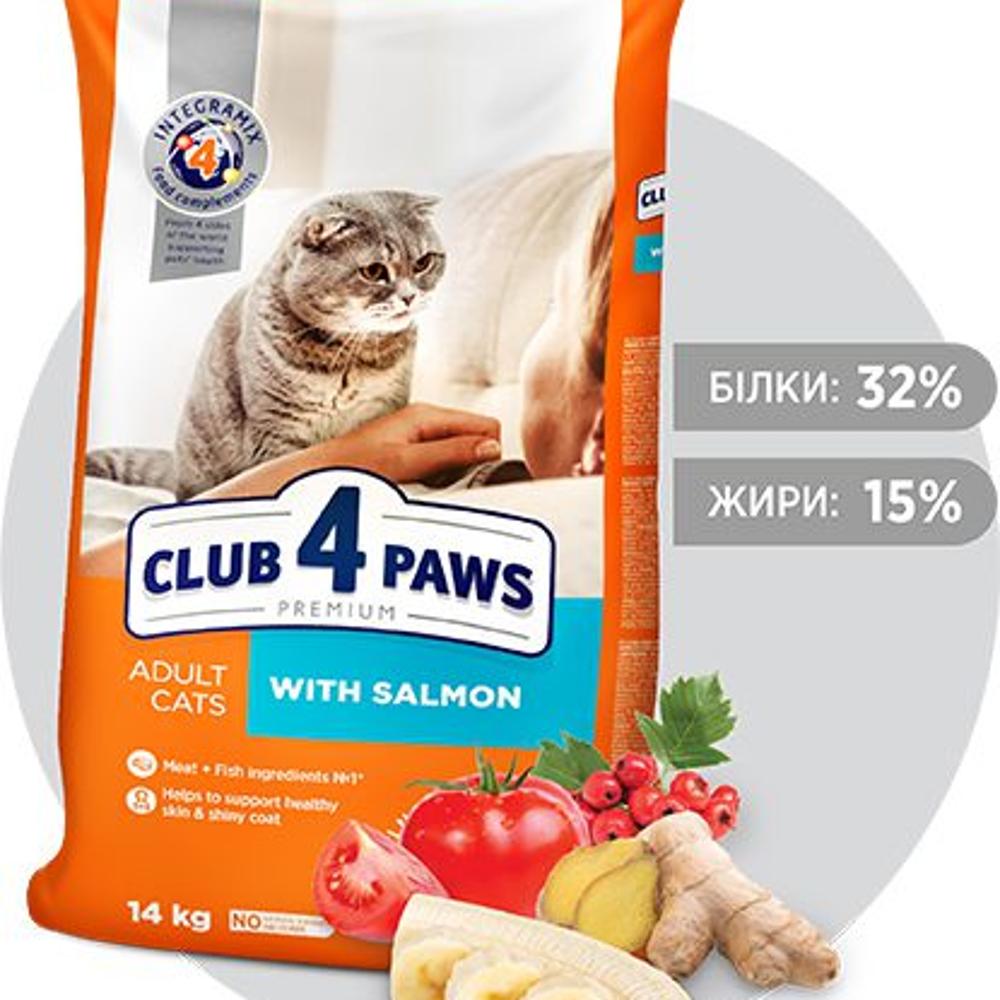 CLUB 4 LAPA 14kg SALMONE для кошек