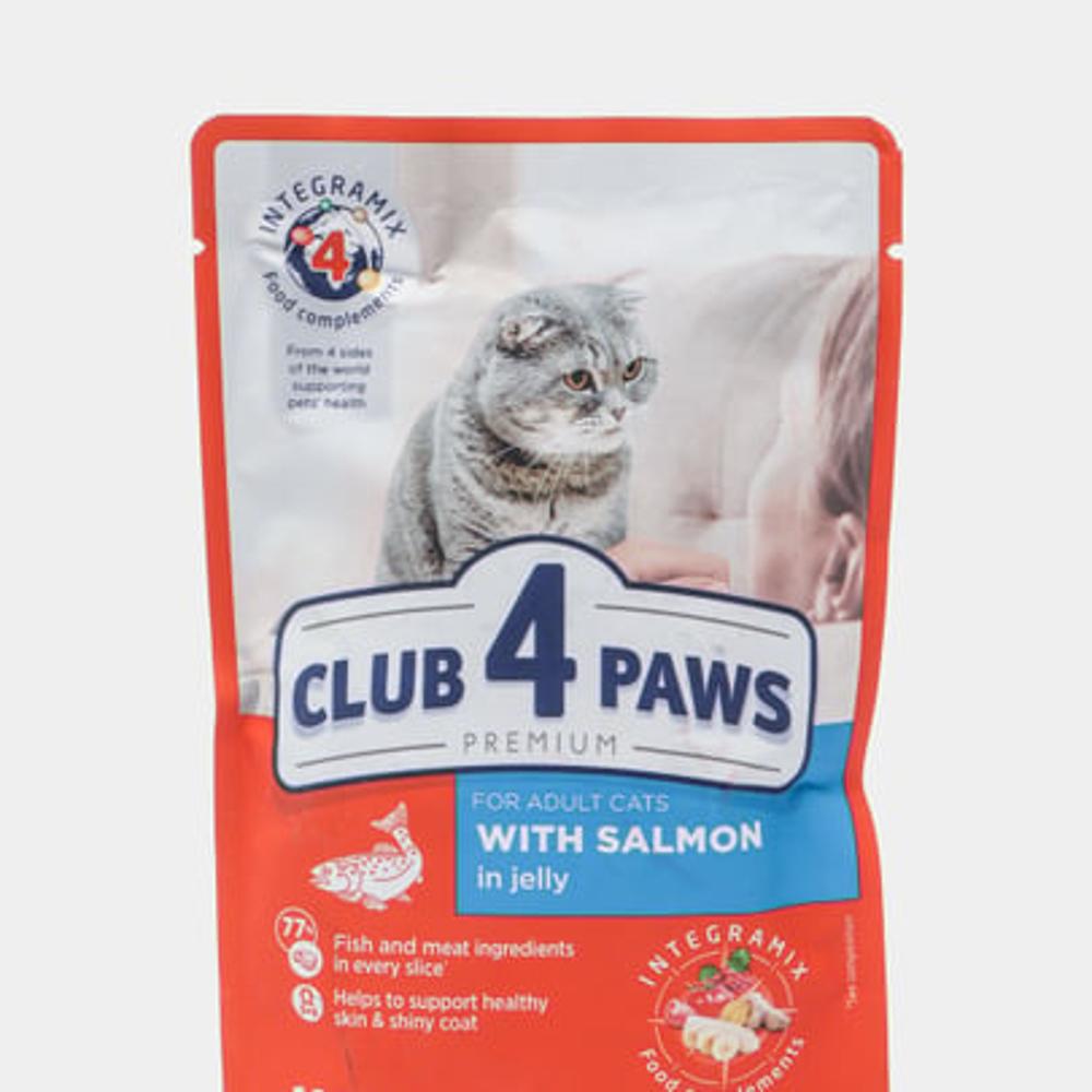 Корм для кошек Club 4 Paws лосось в желе 100 гр